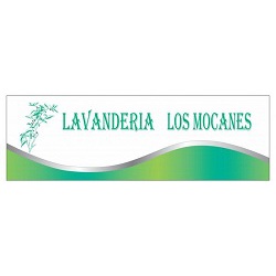 lavaderia los mocanes